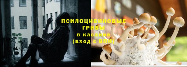 ешки Алексеевка